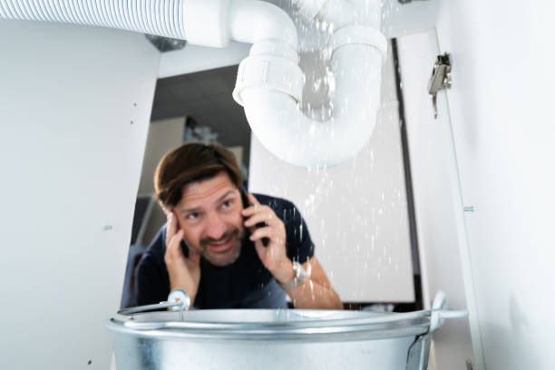 Best Septic Systems  in Milton, NY